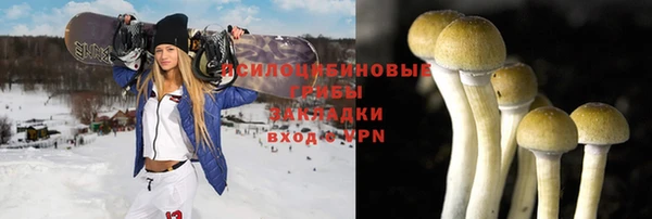 ПСИЛОЦИБИНОВЫЕ ГРИБЫ Приозерск